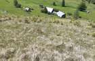 Teren 7 Hectare Brodina Suceava Par?ial Intravilan, Casa + Anexe, Zona de Munte | Ocazie - 6
