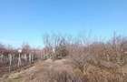 VAND CASA - Branistari, Giurgiu - 3