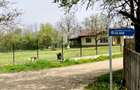 3700 mp Budesti-Piscul Pietrei - 3
