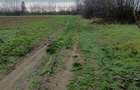 Teren agricol de vanzare, 2500 mp, acces u?or - 2