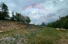 Teren 2,000mp Copalnic-Manastur / Strada Principala - 6