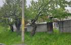 vand casa 35000 rate 2 ani - 6