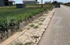 Oportunitate de investitie!!! Teren intravilan, 9782 mp, zona Corocaie - 2