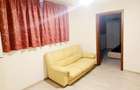 Apartament cu 2 camere semidecomandat în Rosetti - 5