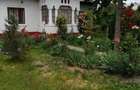Casa Alba cu Farmec Romanesc-Suseni, Arges - 8