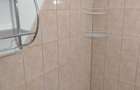 Inchiriez (ofer) garsoniera mobilata, 290 Euultracentral, conf. 1, etaj 6 din 9, utilata complet cu centrala proprie - 2