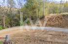 Vanzare teren intravilan 37723 mp Zarnesti Tohanita - 15