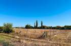 Teren Construcții intravilan de 10000 mp, în Ghiroda - 7