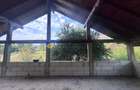 Casă individuală cu 5 camere cu Teren 1688 Mp în Pângărăcior - 15