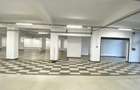 Spațiu comercial, de 750 mp, în Central - 2