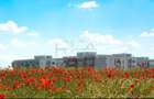 Apartament cu 2 camere decomandat în Jilava - 7