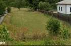 Teren intravilan 2.500 mp la DN7