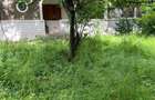Casă individuală cu 4 camere cu Teren 2500 Mp în Șirna - 1