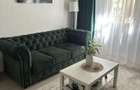 Apartament 3 camere Dr Tr Severin - 1