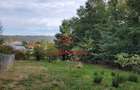 Teren intravilan in Breaza-- 2017 mp--50.000e - 12