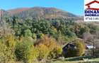 3600 mp teren intravilan, sat Bistrita, 12 Euro/mp - 2