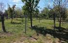 Vind casa in loc.Nadab - 4