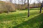 Casă individuală cu 2 camere cu Teren 1808 Mp în Sârbi (Budești) - 5