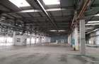 Spațiu comercial, de 20,000 mp, în Timișoara - 9
