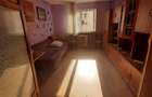 Apartament cu o camera in zona Aradului - 3