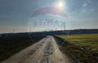 Teren 4,000mp Balotesti / Strada Rozelor - 7