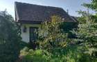 Vand teren 0,75 ha in Bazna cu doua case, o casuta, anexe... Ideal pentru camping, Airbnb, pensiune - 6