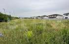 Teren intravilan, 7441mp, zona Lidl Cetate - 2