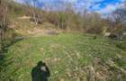 BREBU – intravilan 1800 mp, deschidere 29 ml, doar 16.900 € - 5