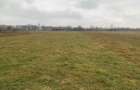 Teren pretabil construc?ii/investi?ii | 26.000 mp| Horodnicu de Sus - 4