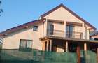 Vand casa zona Damila - 10