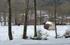 Teren la munte, Tarcau- Piatra Neamt - 5