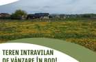 Teren intravilan de vanzare in Bod! - 1