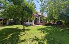 Casa in Mogosoaia | Panouri fotovoltaice | Gradina superba - 19