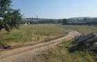 Vand 31 de ari de teren in Suceava Itcani - 4