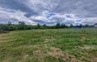 Teren Construcții de 500 mp, în Săldăbagiu de Munte - 1
