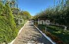 Proprietate 12.000 mp in Tatarusi, sat Uda Bucovina M - 1