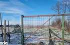 PROPRIETATE AGRICOLA PREMIUM 5 HECTARE CU LIVADA DE NUCI (CHANDL - 1