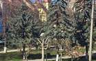 Investiție în patrimoniu UNESCO – apartament în centrul Sighișoarei - 7