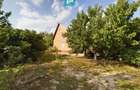 Casa cu teren 2877 mp, ora?ul Ineu - 7