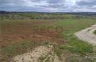RECO Teren intravilan, Paleu - 2