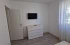 Apartament 1 cameră 28 mp 47500 euro Lunca Cetatuii - 2