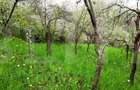 Teren intravilan 3040 mp, zona Donath - 6