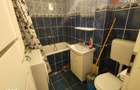 Apartament cu o camera de inchiriat in Timisoara, zona Take Ionescu - 2