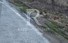 Teren de inchiriat | 20,088 ha | Sacadat | Bihor
