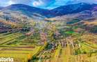 Casa din piatra la poalele Bedeleului Izvoarele, Alba - 19