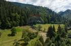Teren Construcții intravilan de 2891 mp, în Bran - 3