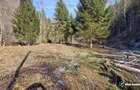 Teren Construcții de 3279 mp, în Mărișel - 4
