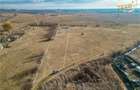 Teren extravilan de 5.800 mp in Sfantu Gheorghe:oportunitate - 1