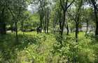 1258 mp, Strada Viilor, Baia Mare, 2 parcele alaturate, 125 000 - 5