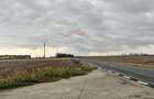 Teren agricol extravilan de 27882 mp, în Exterior Est - 8